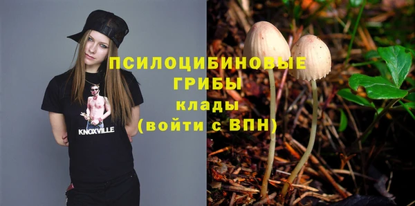 дурь Алзамай