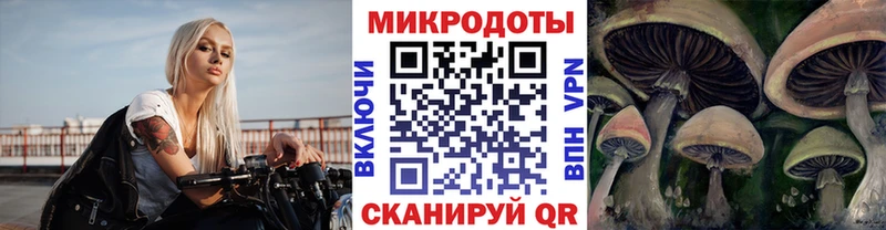 Псилоцибиновые грибы мицелий  продажа наркотиков  Новоаннинский 