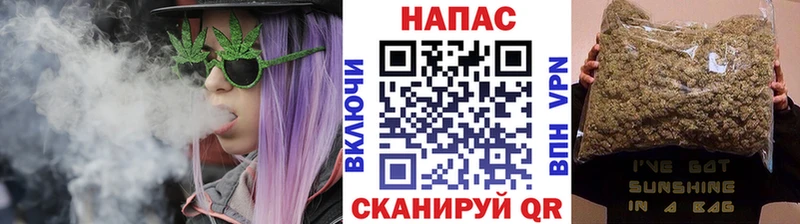 Бошки Шишки план  Новоаннинский 